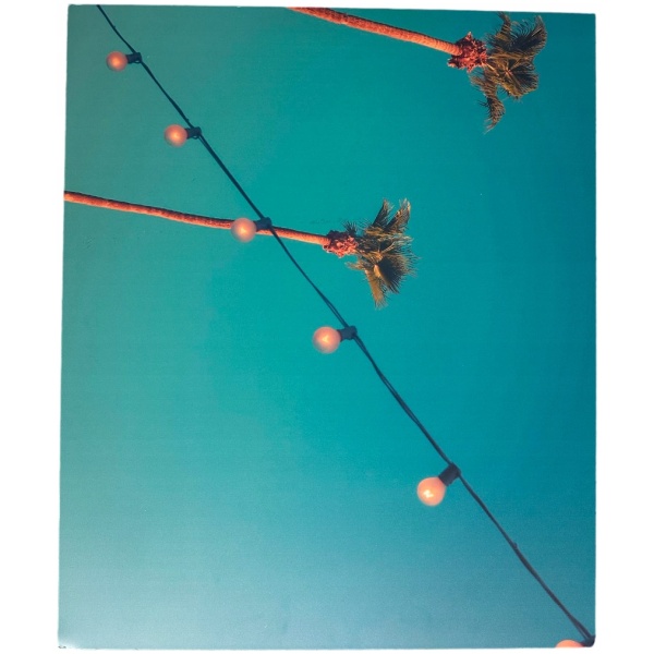 Multioutlet - Obrazy Na Ścianę Any Image Palm Springs Palms 50X60Cm