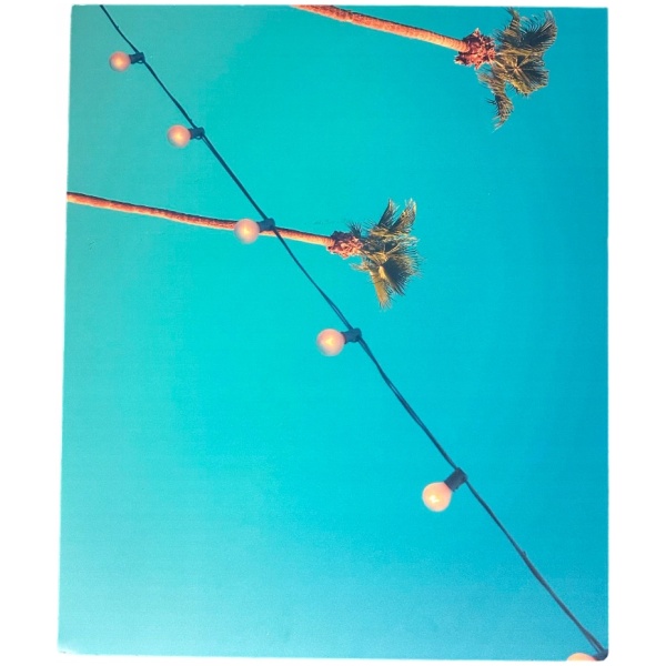 Multioutlet - Obrazy Na Ścianę Any Image Palm Springs Palms 50X60Cm