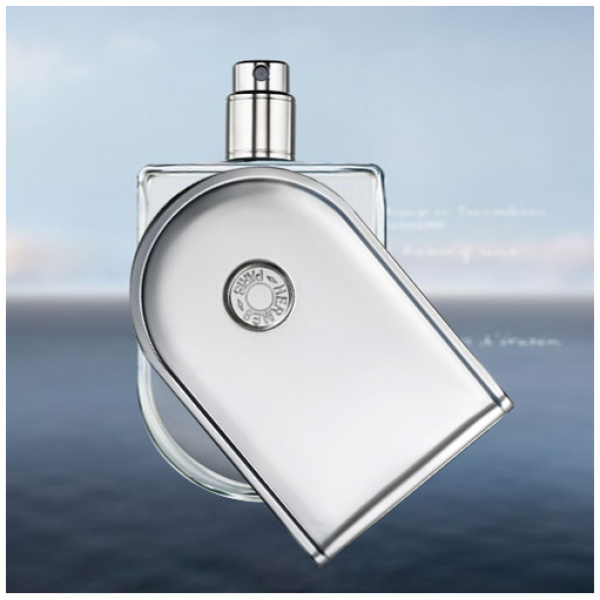 Najlepszy Outlet W Warszawie Multioutlet - Hermes Voyage D'Hermes Eau De Toilette